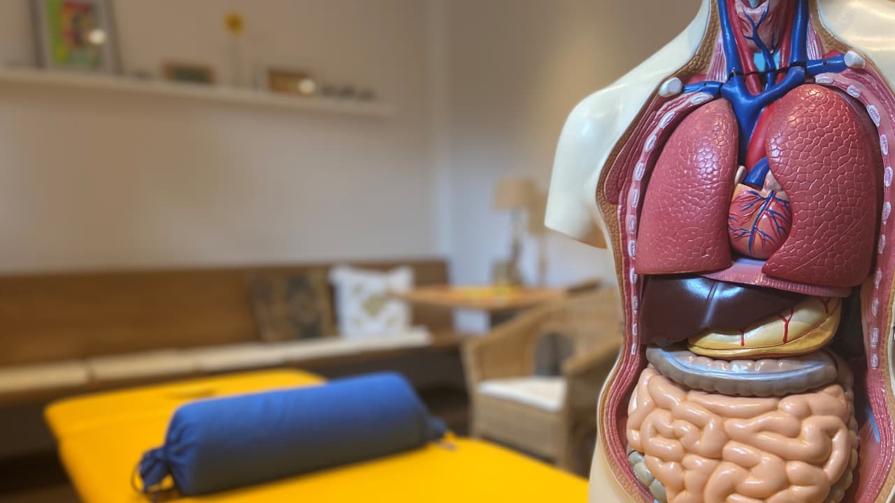 Praxistraining / Lehrpraxis