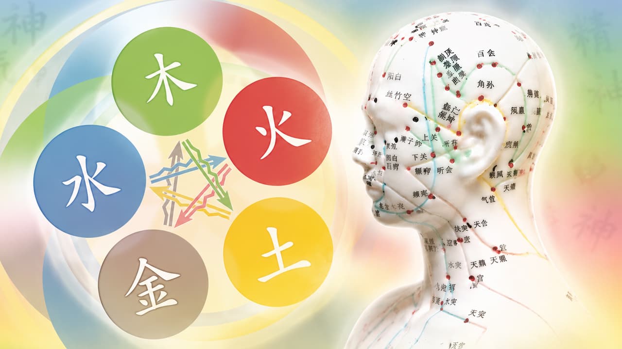Traditionelle Chinesische Medizin Fachtherapeut