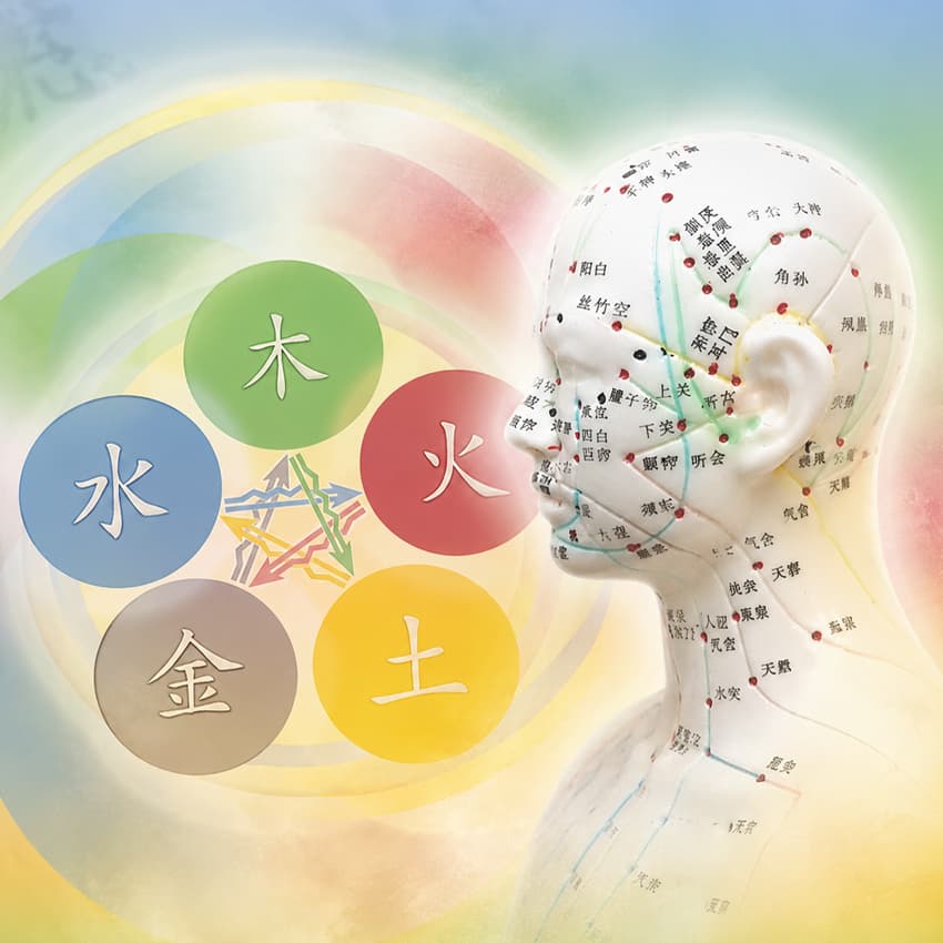 Traditionelle Chinesische Medizin Fachtherapeut