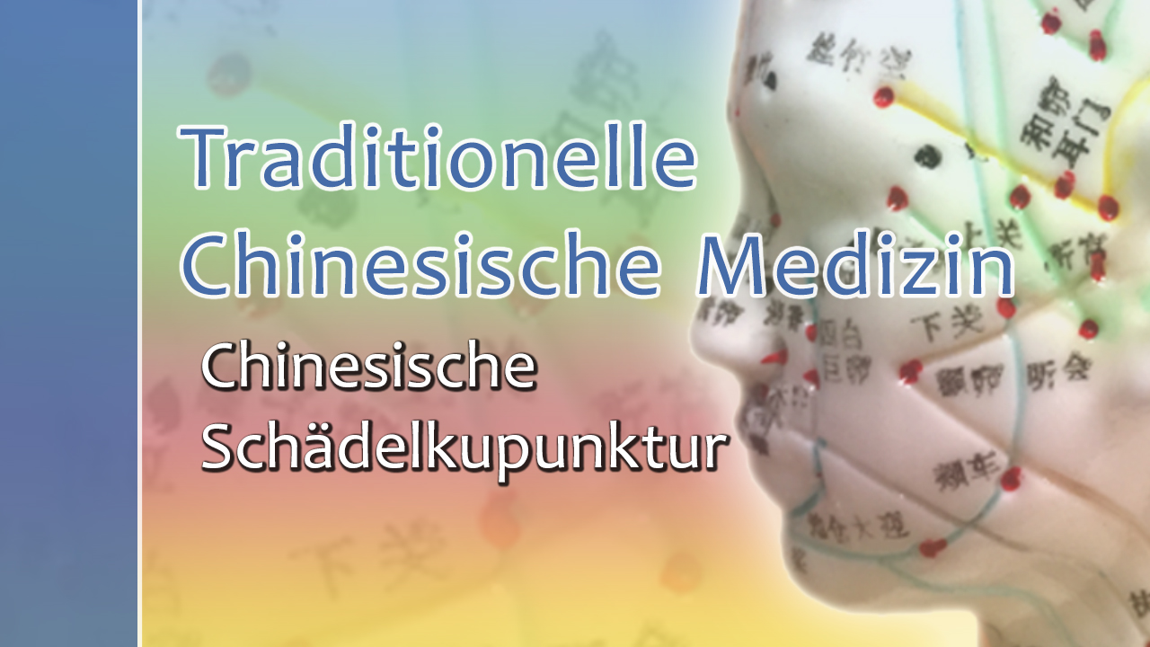 TCM Aufbaukurs Chinesische Schädelakupunktur