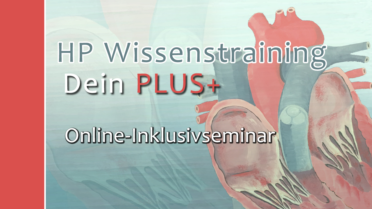HP Wissenstraining - Dein Plus+ Online Inklusivseminar