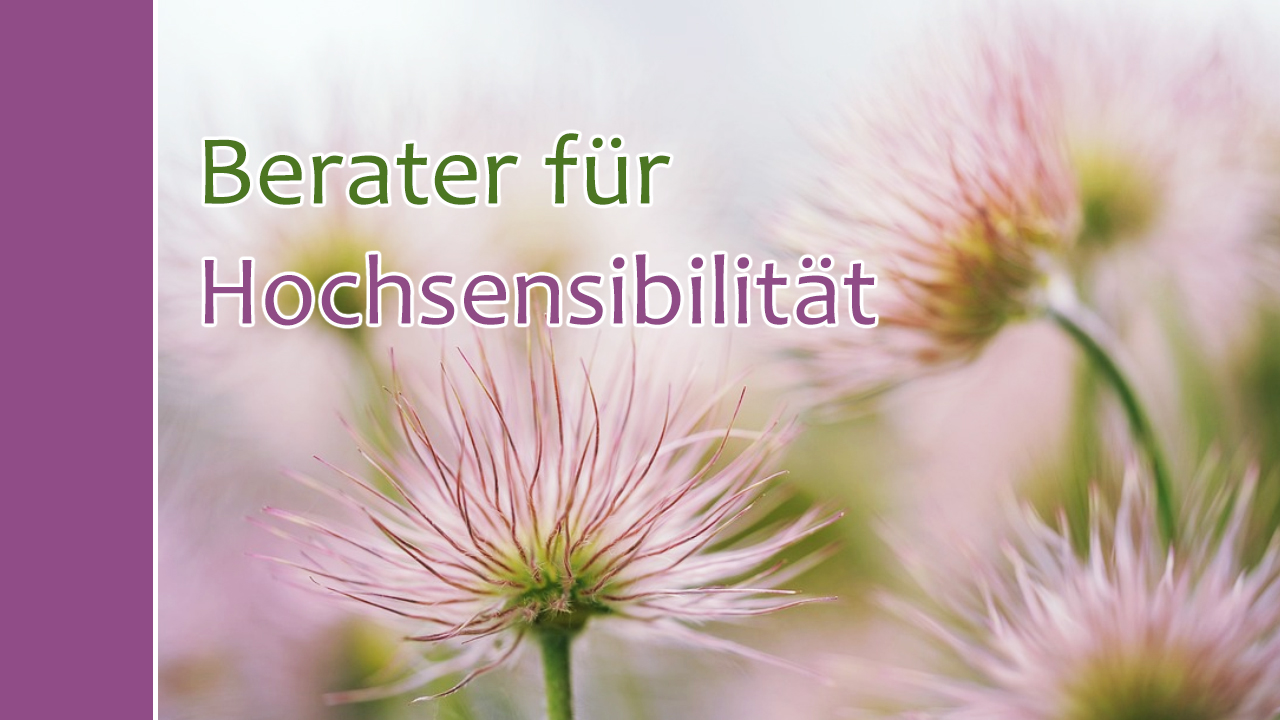 Berater für Hochsensibilität