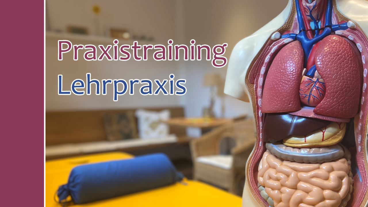 Praxistraining / Lehrpraxis