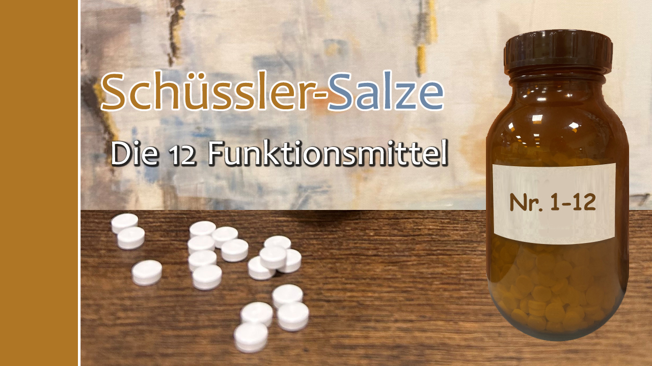 Schüssler-Salze Basiskurs