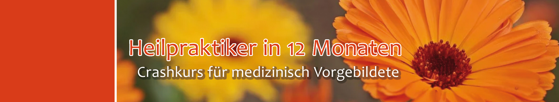 Heilpraktiker Crashkurs