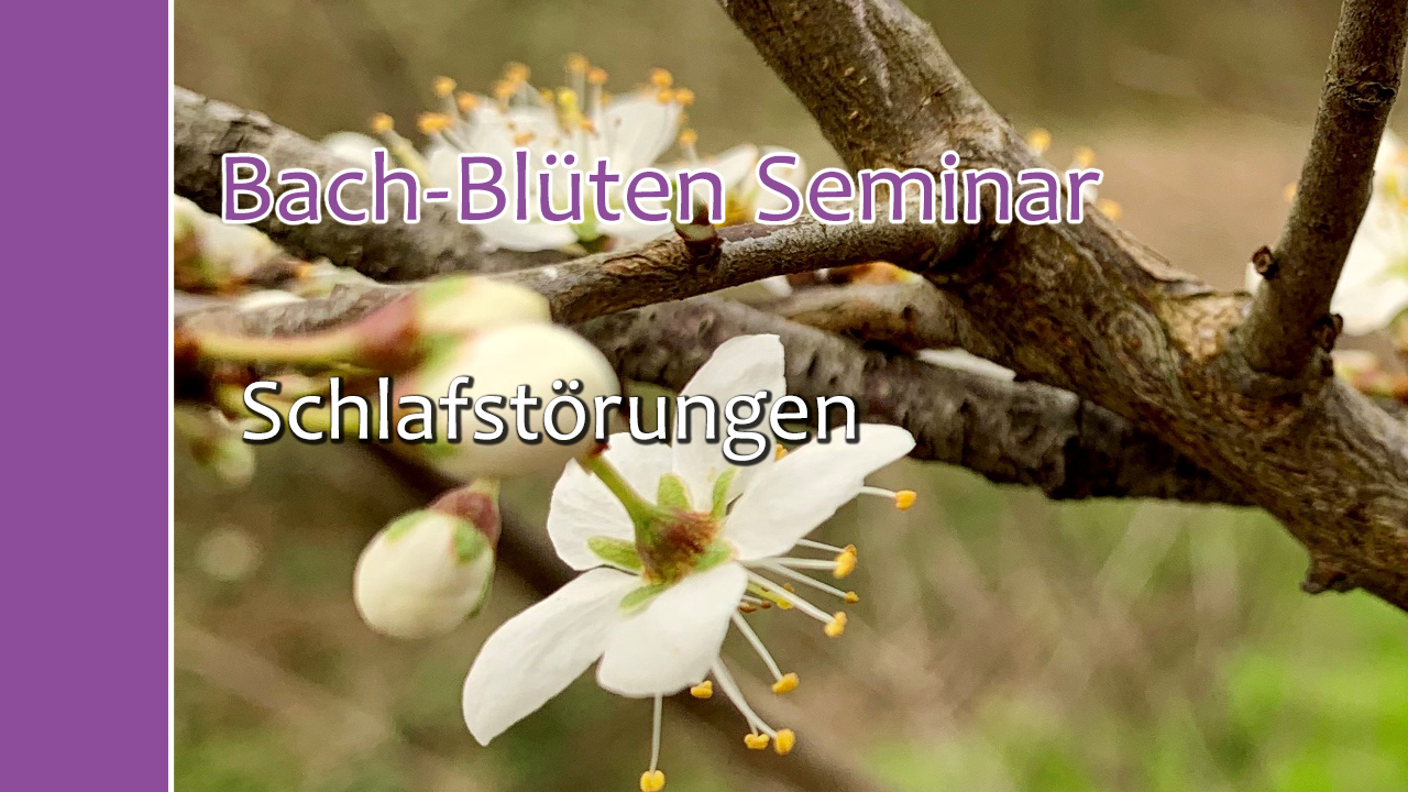 Bach-Blüten