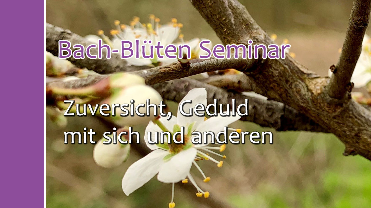 Bach-Blüten