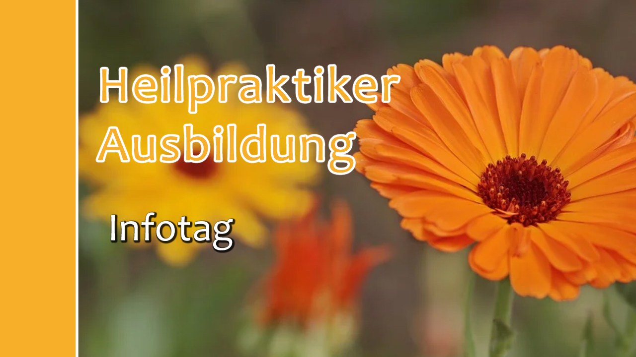 Heilpraktikerausbildung Infotag