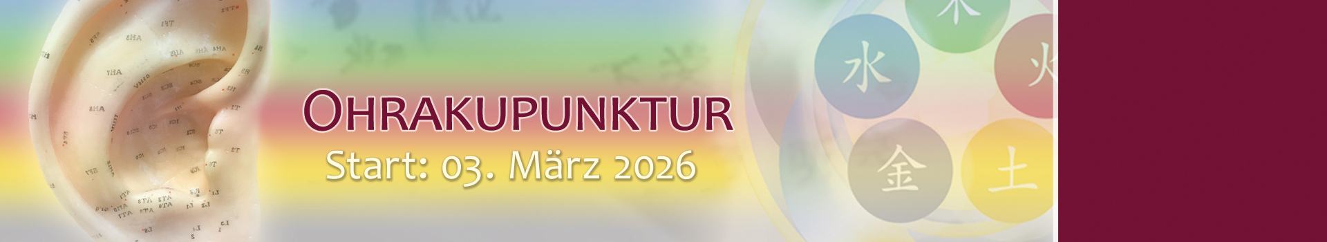 TCM Ohrakupunktur Start: 03. März 2026